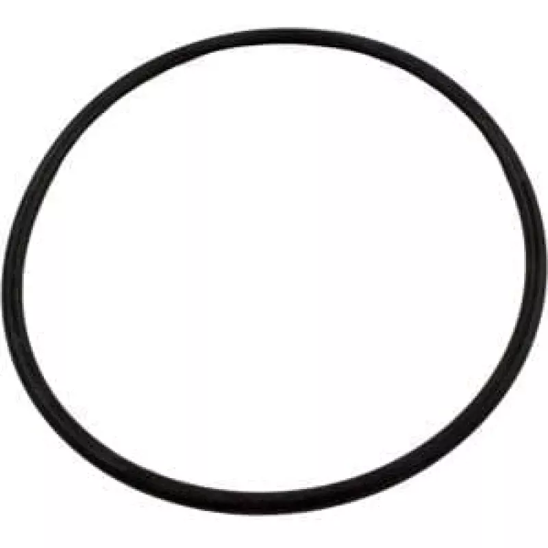 06 - Pentair Eclipse SM O-Ring (52000500)