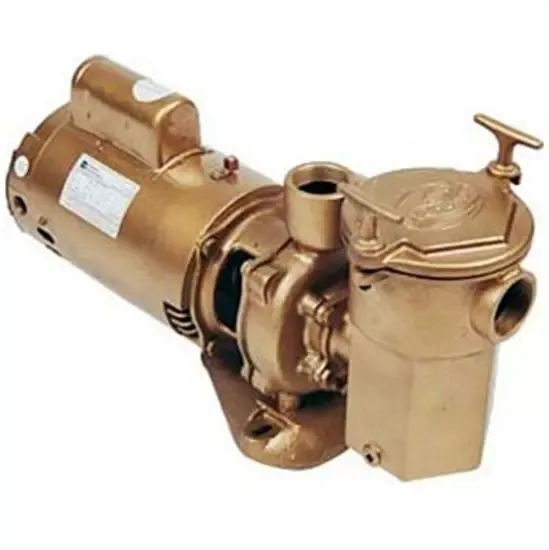 Advantage Commercial Bronze In-Ground Pool Pump 3/4 HP