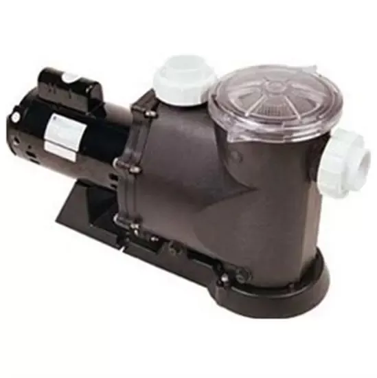 Advantage Quiet Flo Plus In-Ground Pool Pump 2 HP
