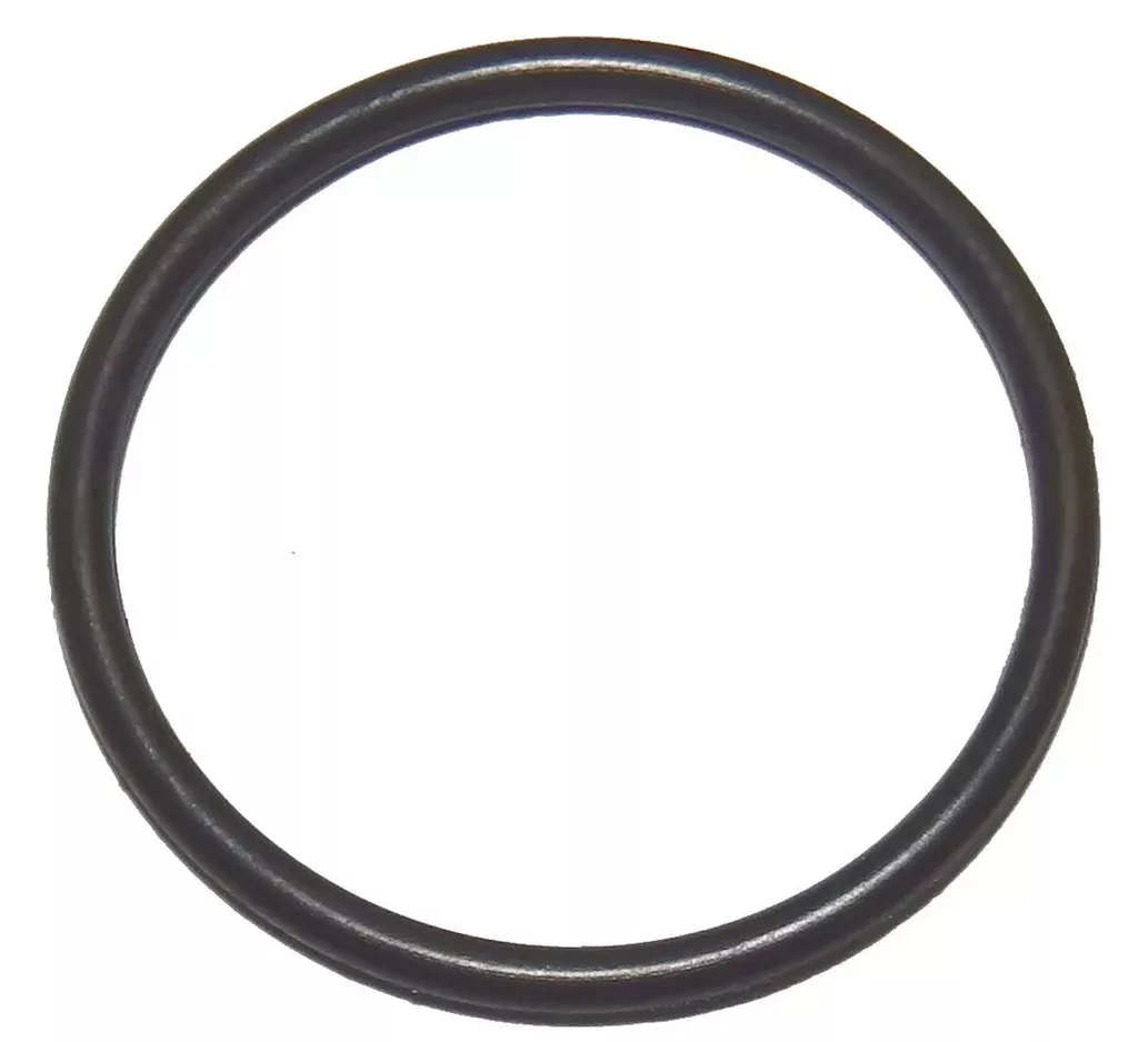 Aladdin O-12-2 – Cast Iron Pump Lid O-Ring