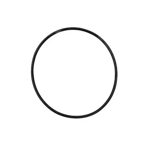 Aladdin O-263-2 – O-Ring for Hayward Max-Flo II