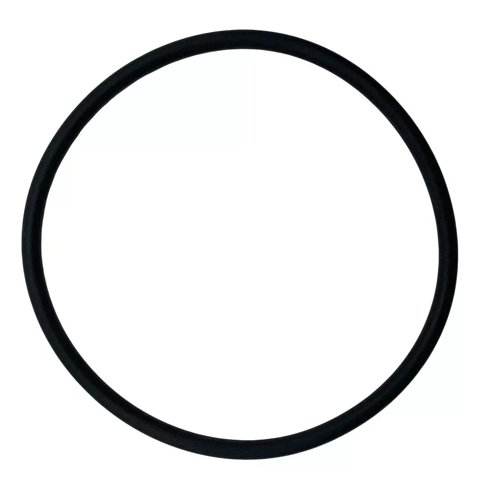 Aladdin O-421-0 Diffuser O-Ring – Pentair 355331 / Challenger