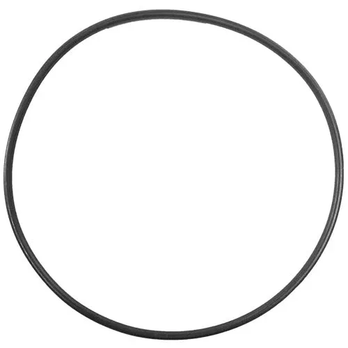 Aladdin O-465 Multi-Use O-Ring | Pentair 355619, Jandy R0480300