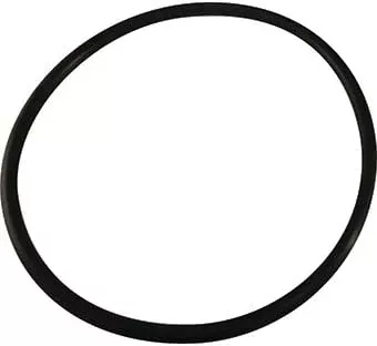 Aladdin O-Ring O-318