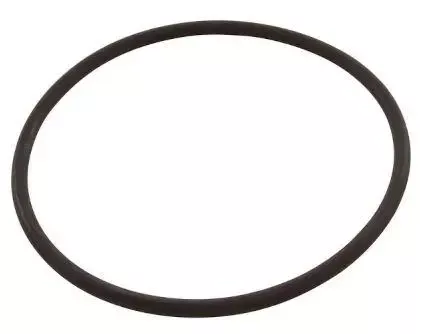 Aladdin Strainer Cover O-Ring - O-218-9
