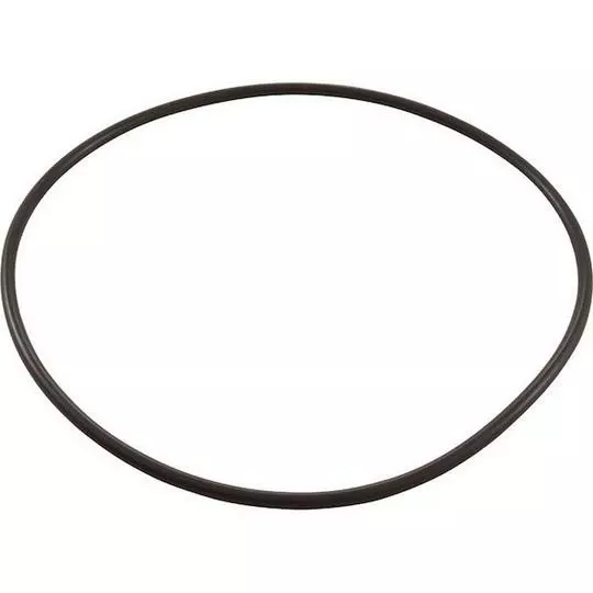 All Seals – Replacement Volute Housing O-Ring For Sta-Rite Pool Pumps