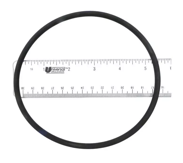 APC Hayward Lid O-Ring - CLX200K - APCO2423