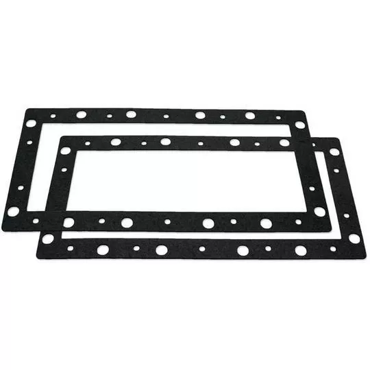 Carvin – Face Plate Gasket (Set Of 2)