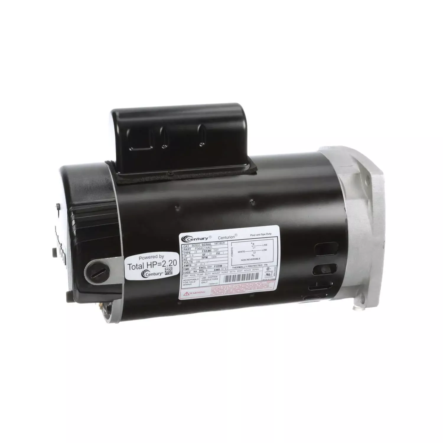 Century | B2855 | 2 HP Pool Pump Motor – Single Phase, 230V, 56Y Frame