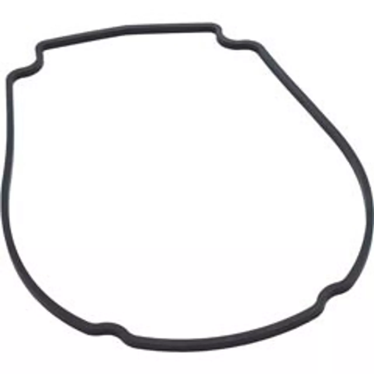 CHAMPION/ SMF SEAL PLATE GASKET