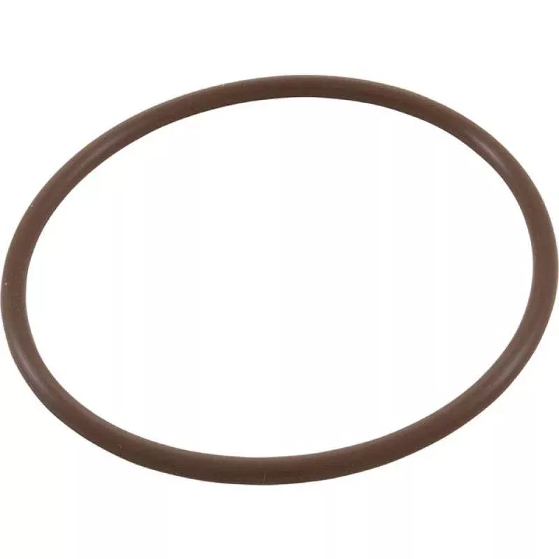 CMP | 52000-200-101 | O-Ring | For PowerClean Salt System