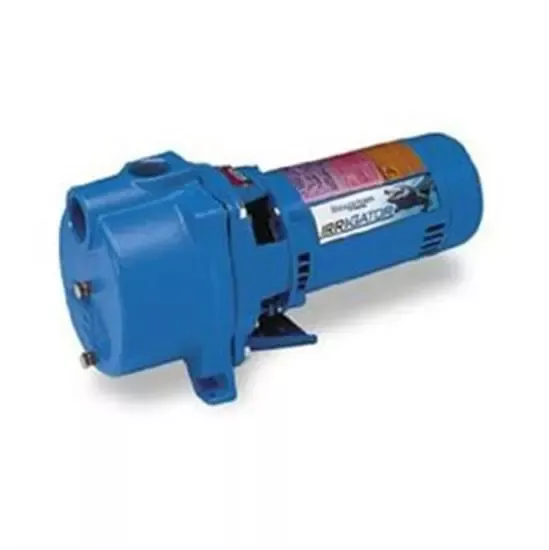 Goulds 3 HP 1 Phase 230V centrifugal Self-Priming Pump