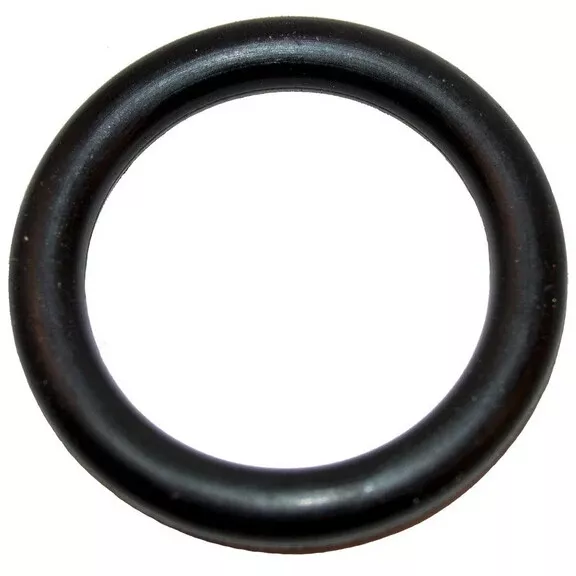 Hayward Booster Pump O-Ring