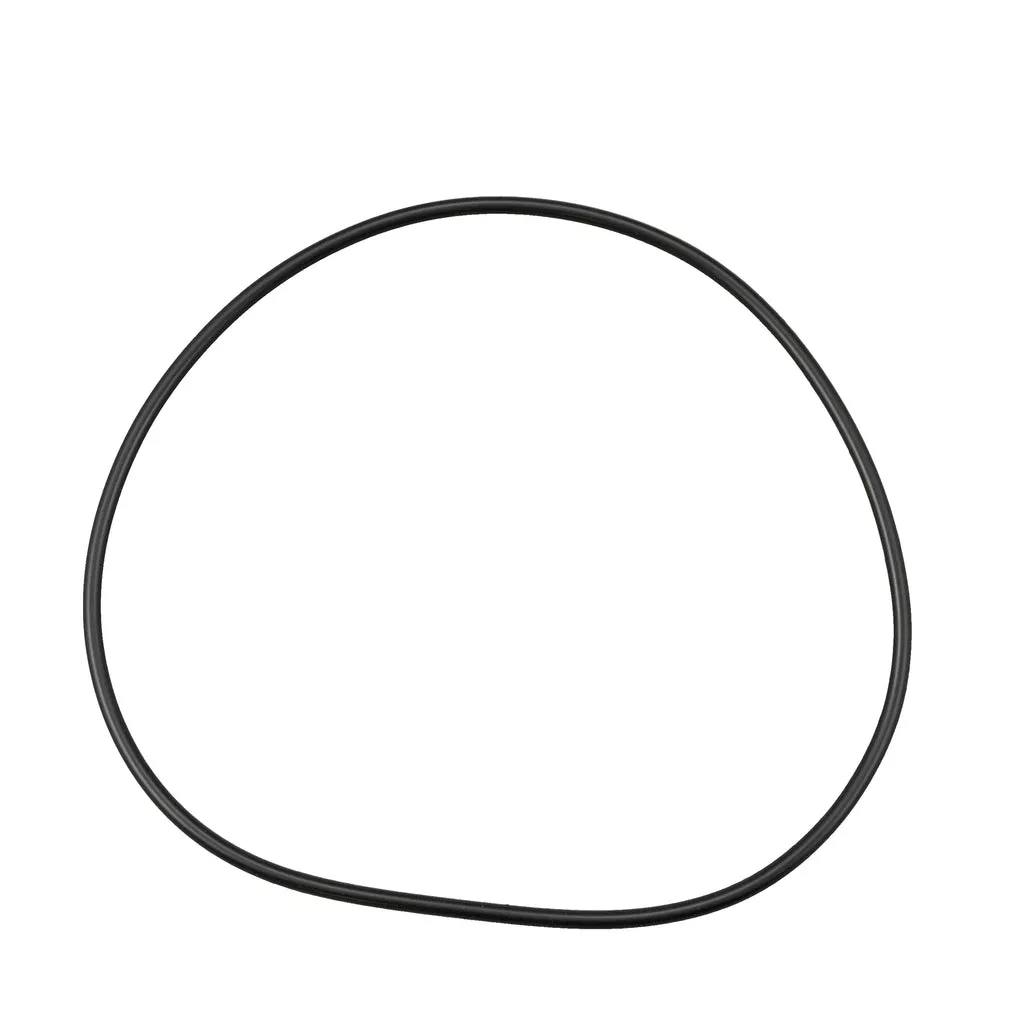 Hayward CXFHR1001 - O-Ring for Filter Head
