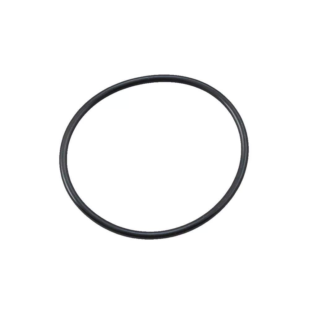 Hayward DEX2400Z5 - Outlet Pipe O-Ring