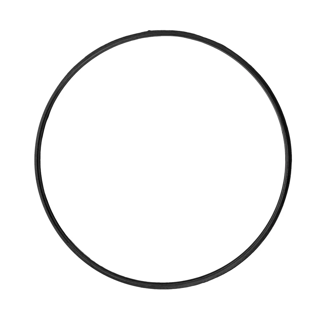 Hayward DEX2422Z2 - Metal Reinforced Seal O-Ring