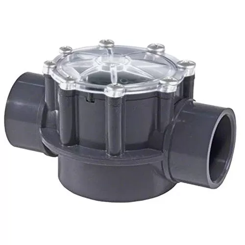 Hayward PSCV2S2 - CPVC Check Valve