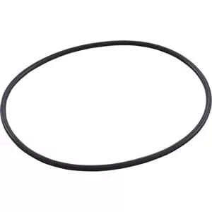 Hayward SPX0710XZ5 - Housing O-Ring