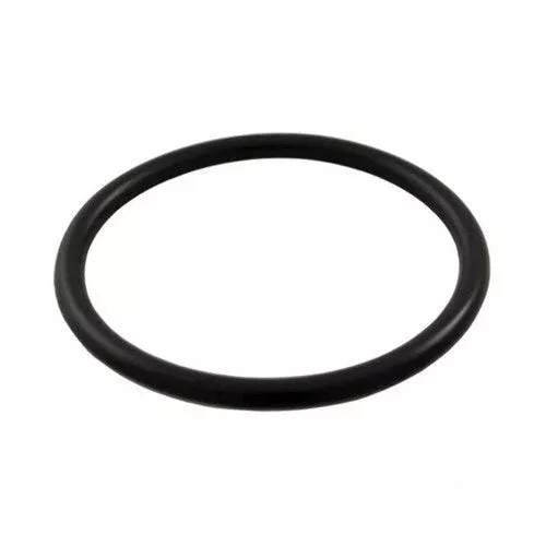 Hayward SPX1022CZ2 - Plug O-Ring