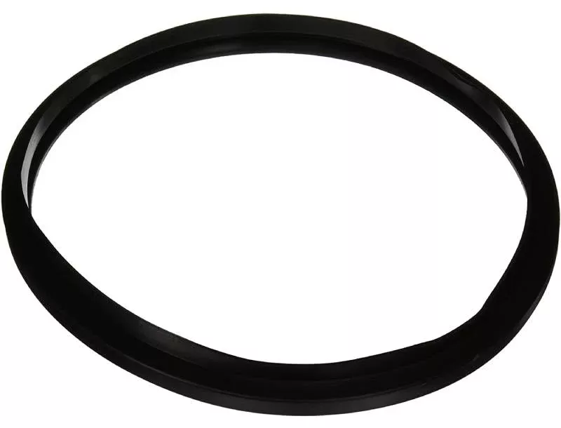 Hayward Star-Clear Filter Gasket - CX250F