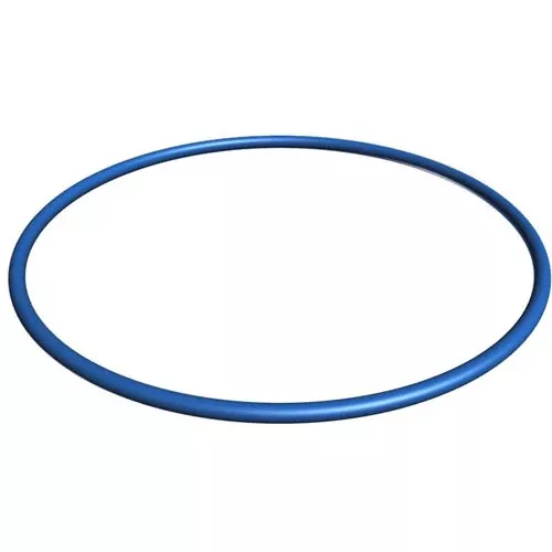 Hayward Valve Tank O-Ring -GMX600F