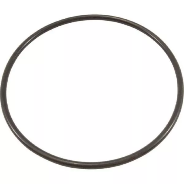 Hydrostorm Plus Lid O-Ring