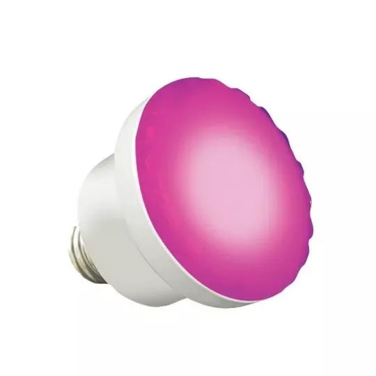 J&J Electronics – 120V, 6W ColorSplash Color Changing And White LED Spa Lamp