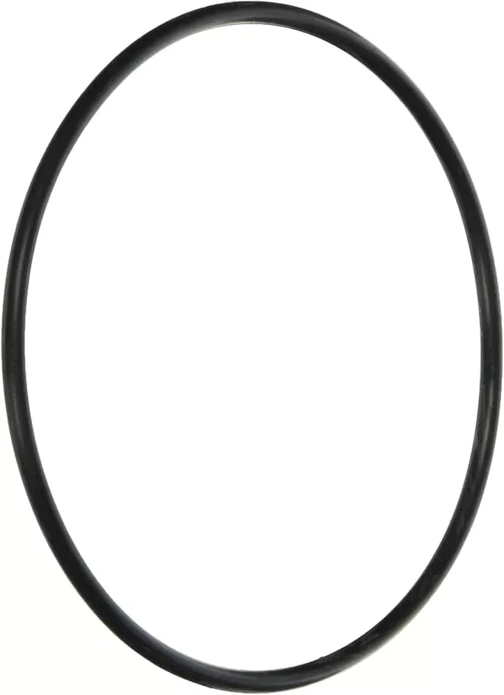 Jandy O-Ring, Energy Filter Replacement, R-Kit R0374500