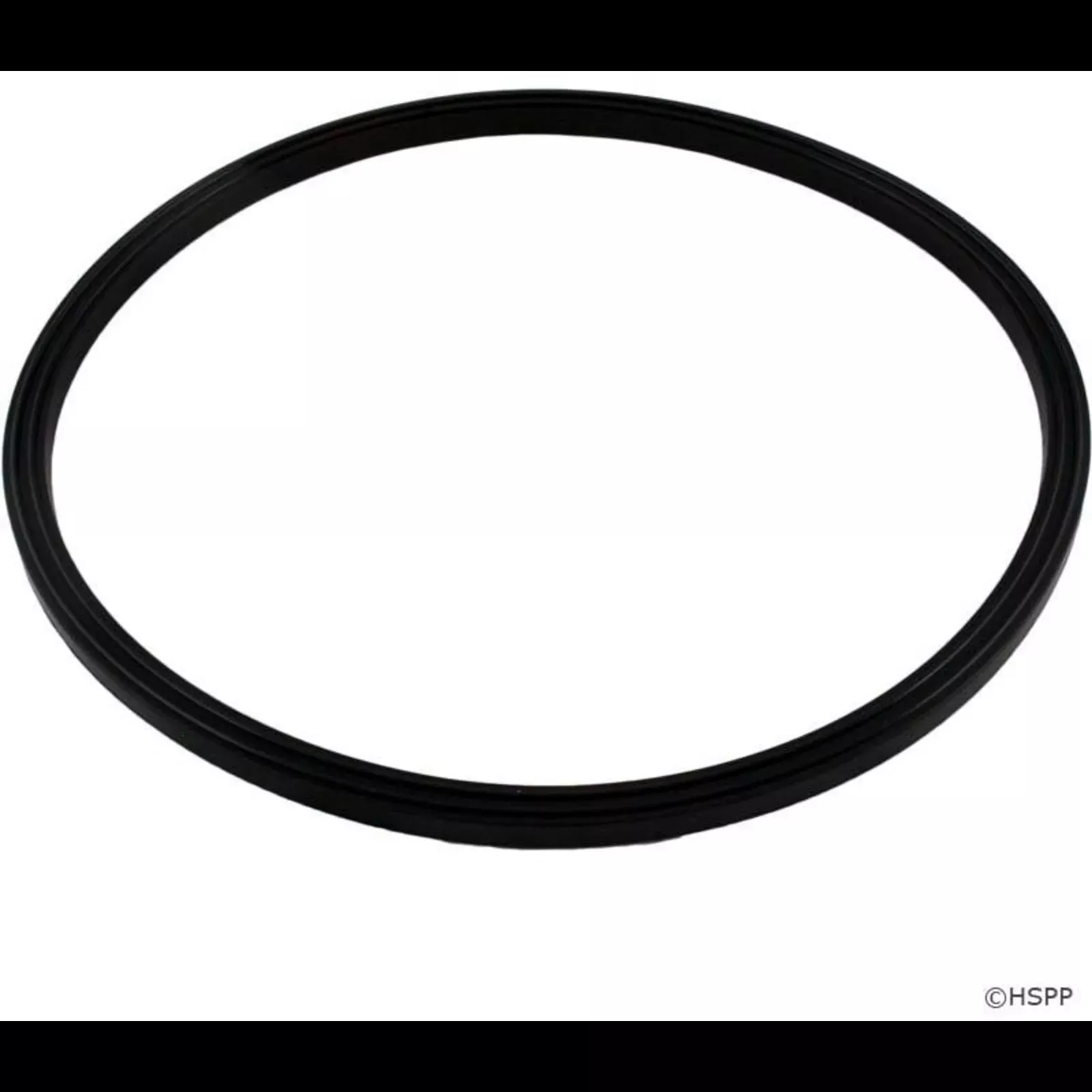Jandy R0487400 JS Series Sand Filter Lid O-Ring
