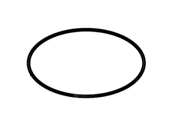 Multicyclone O-Ring Bs263 Sediment Bowl