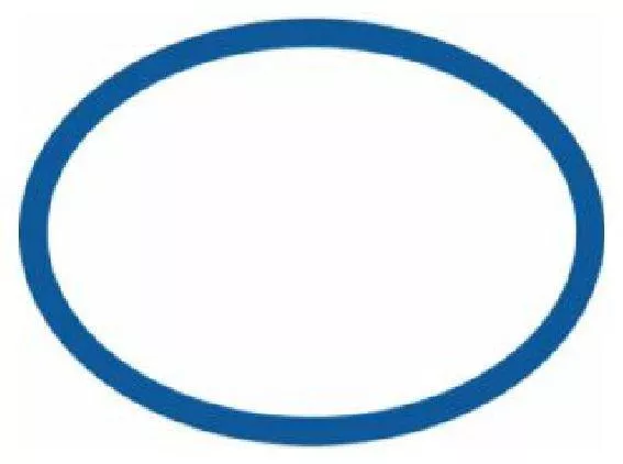 Paramount Base O-Ring - 5302010000