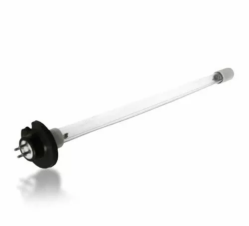 Paramount In-Floor Misc. Lamp Clear 03| 005402383400