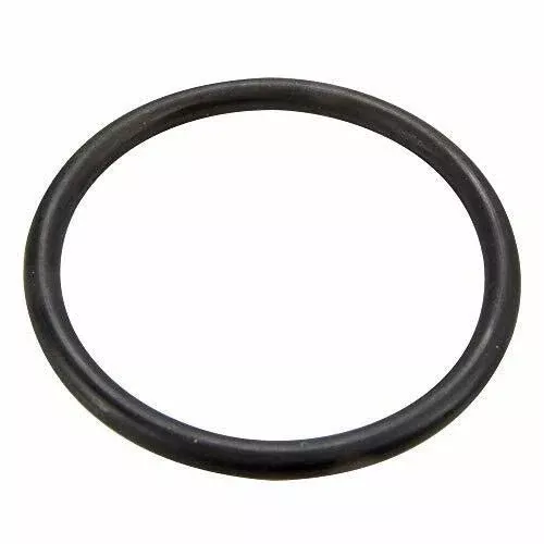 Pentair 35505-1429 O-Ring Replacement Seal