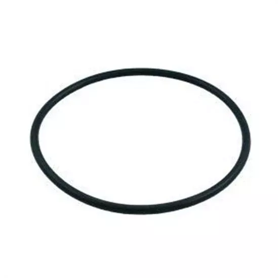 Pentair Front Housing O-Ring Challenger Waterfall Pump O419