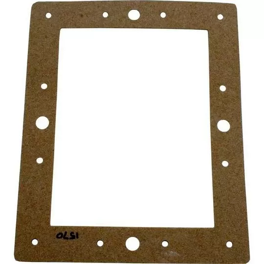 Pentair – Gasket, Standard Throat