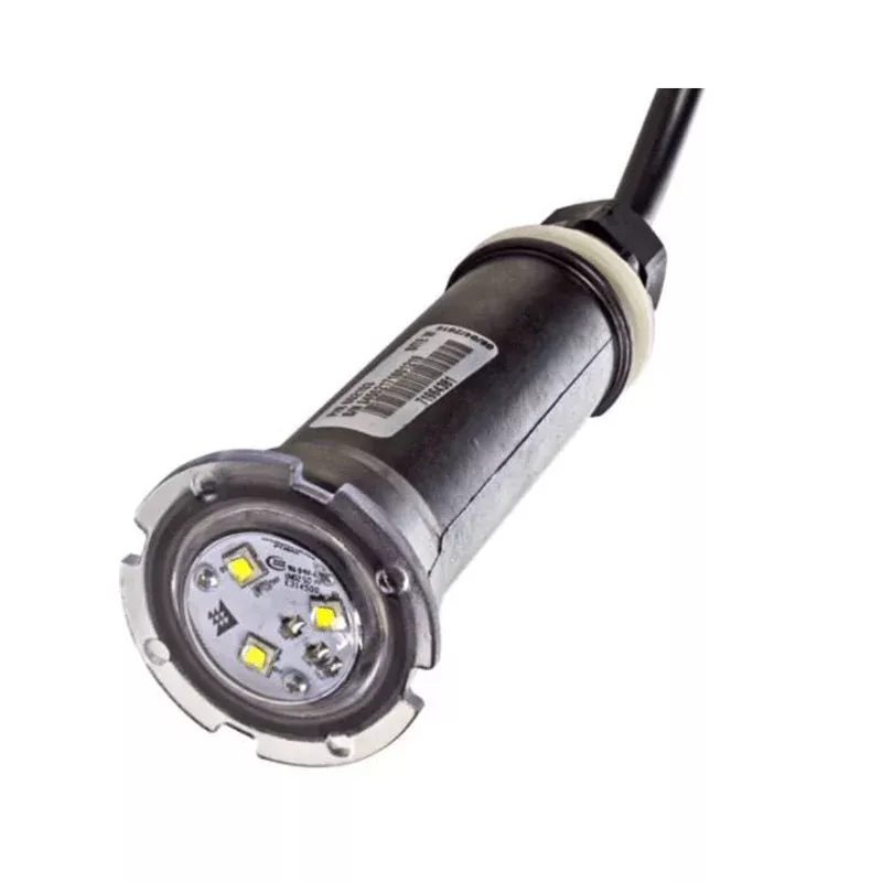 Pentair GloBrite LED Pool Light 12V White 100 ft Cord