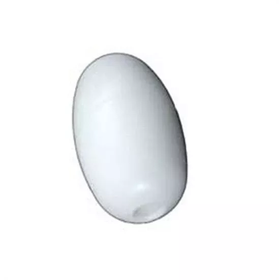 Pentair Letro Float