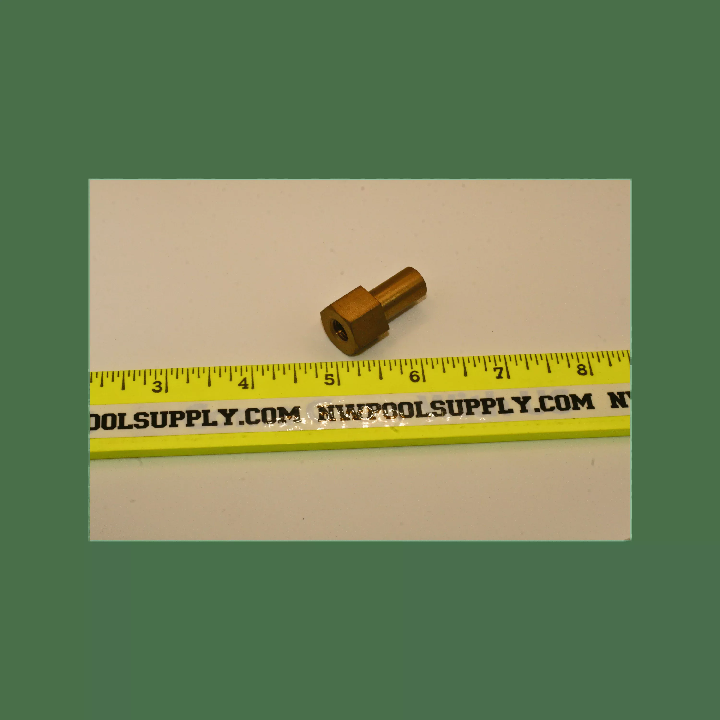 Pentair Nut for Clamp Ring Nautilus and Sea Horse | 194989Z