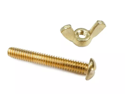 Pentair Rainbow Brass Nut and Bolt 155 - R221156