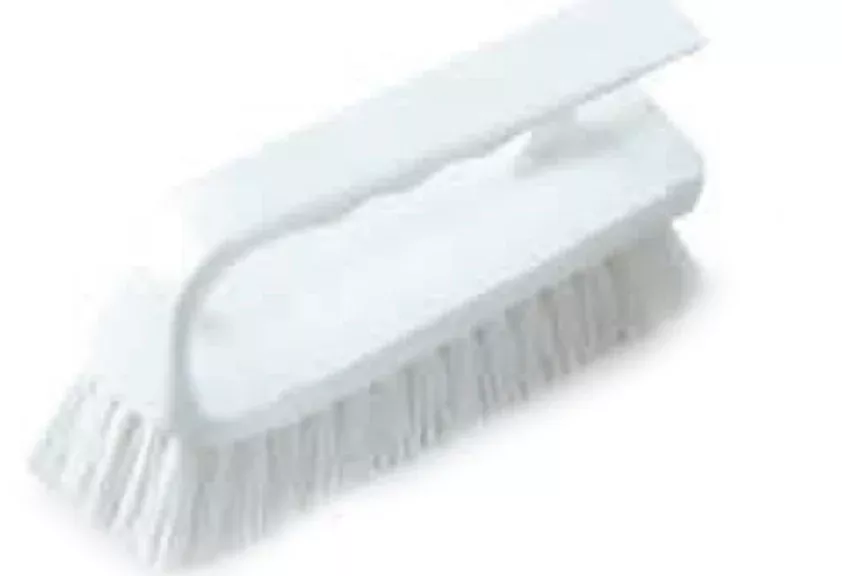 Pentair Rainbow Mini Scrub Brush 652 - R111566