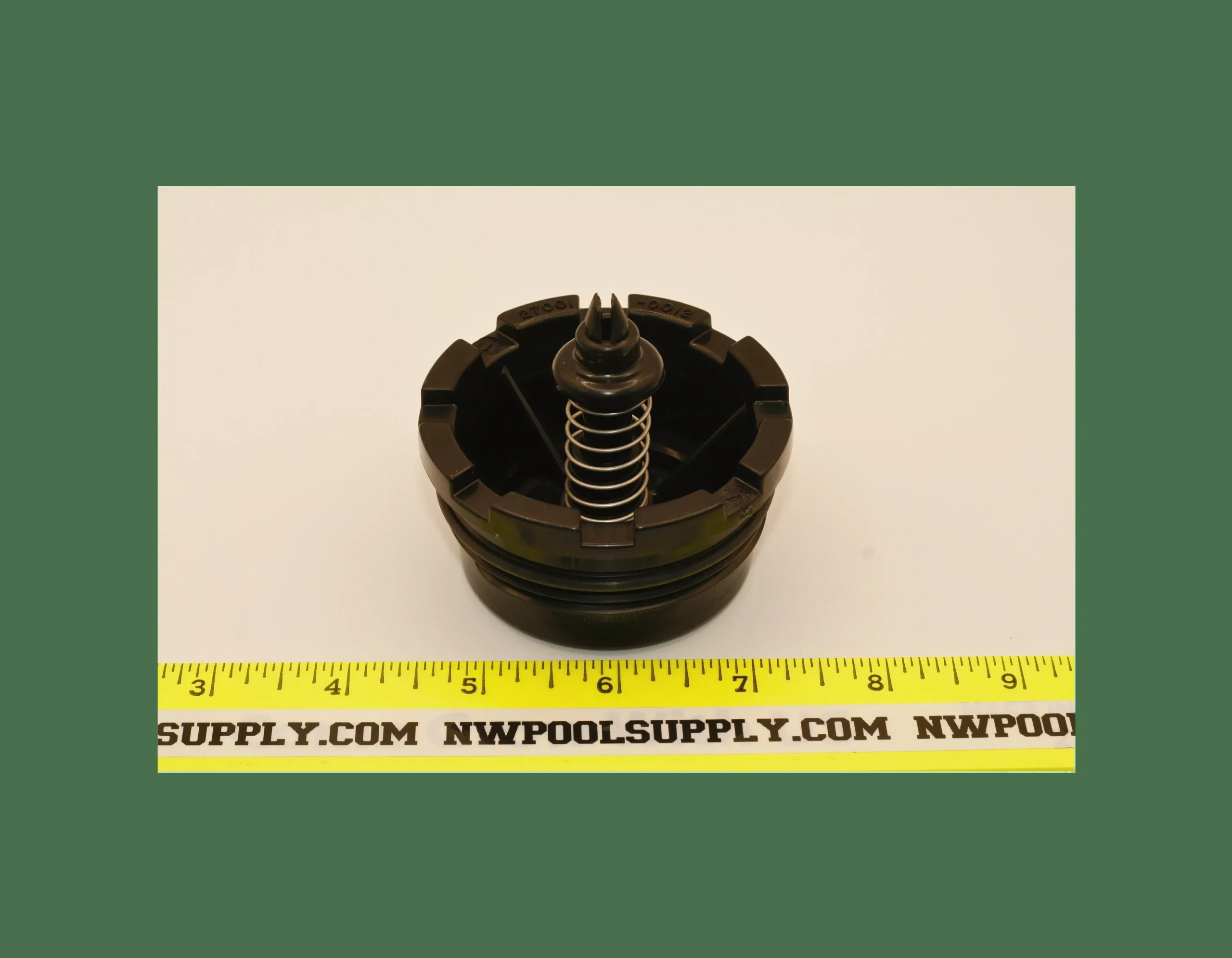 Pentair Spring Check Valve for PLM & PLD Filter Systems | 27001-0130S