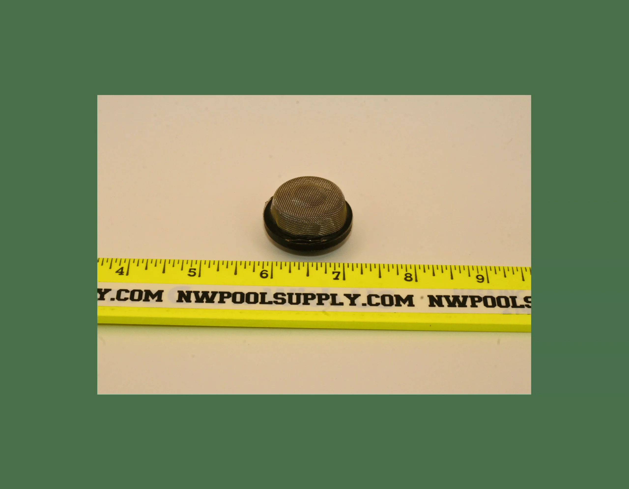 Pentair Triton II Air Relief Strainer | 150035Z