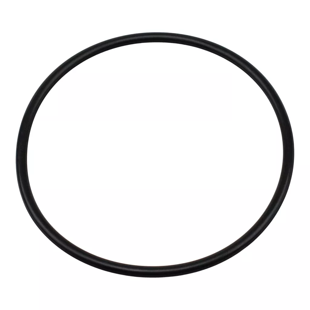 Pentair U9-375 - O-Ring