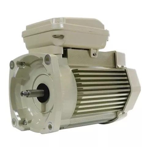 Pentair WhisperFlo 5 HPPool Pump Motor - 354819S
