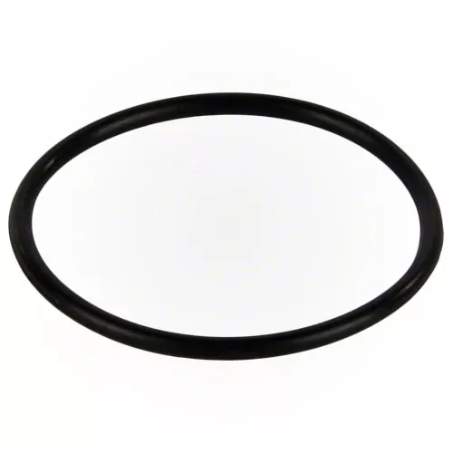 Polaris Feed Pipe O-Ring (9-100-5132)