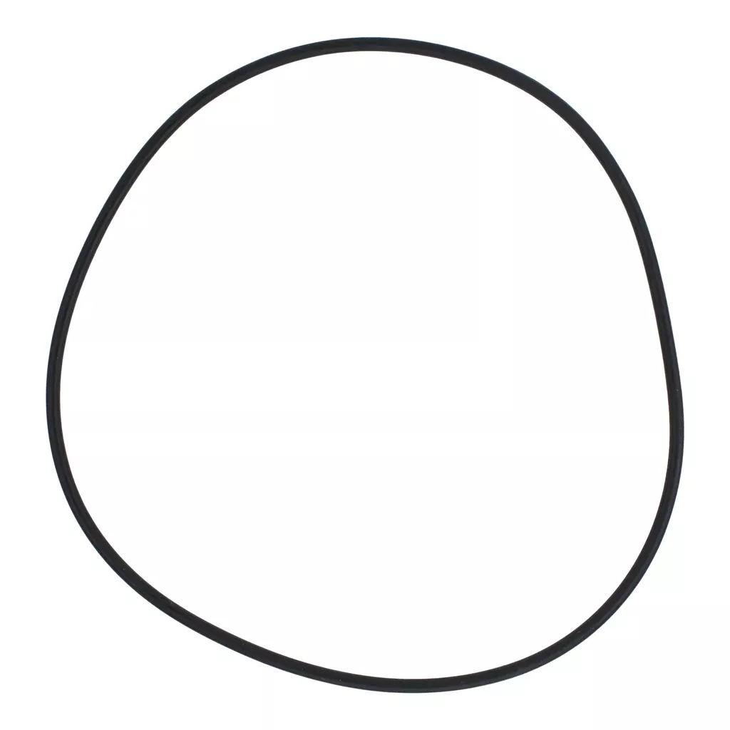 Polaris P95 - O-Ring