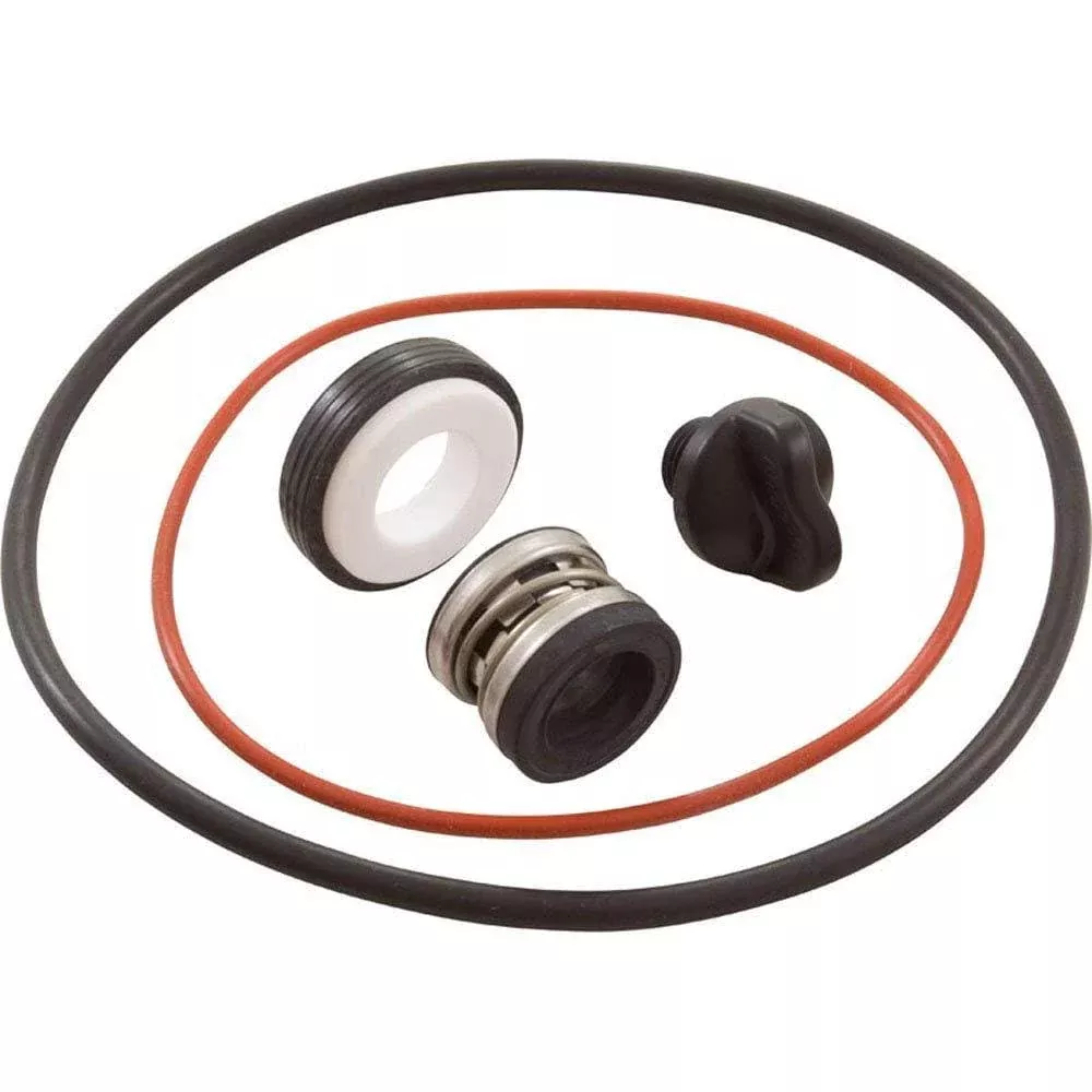 Polaris PB4SQ OEM O-Ring & Seal Kit