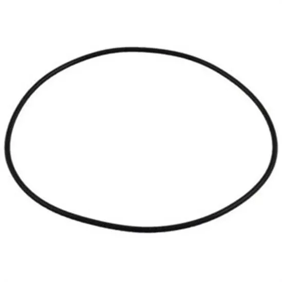 Polaris Pump Bracket O-Ring - O299