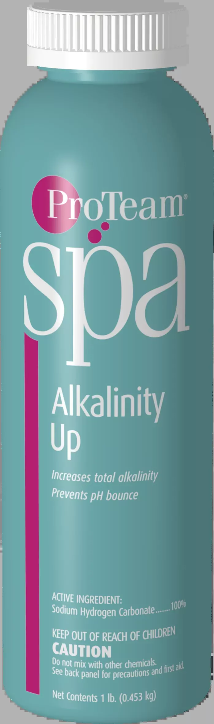 ProTeam Spa Alkalinity Up 1 lb. Bottle