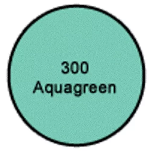Ramuc Aqua Green Dampset Pool Paint - 1 Gal